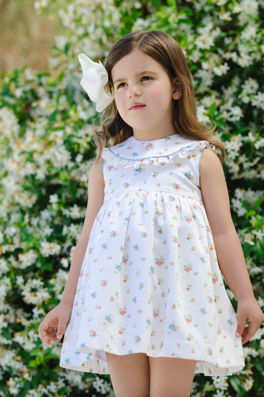 Provence Dress